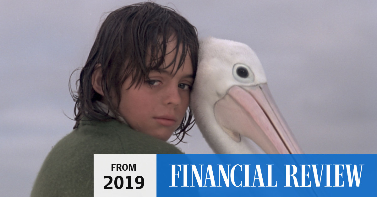 Review Storm Boy (2019) visually impressive but little left to imagination